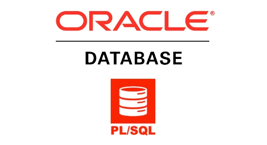 The Complete PL/SQL Bootcamp : Beginner to Advanced PL/SQL
